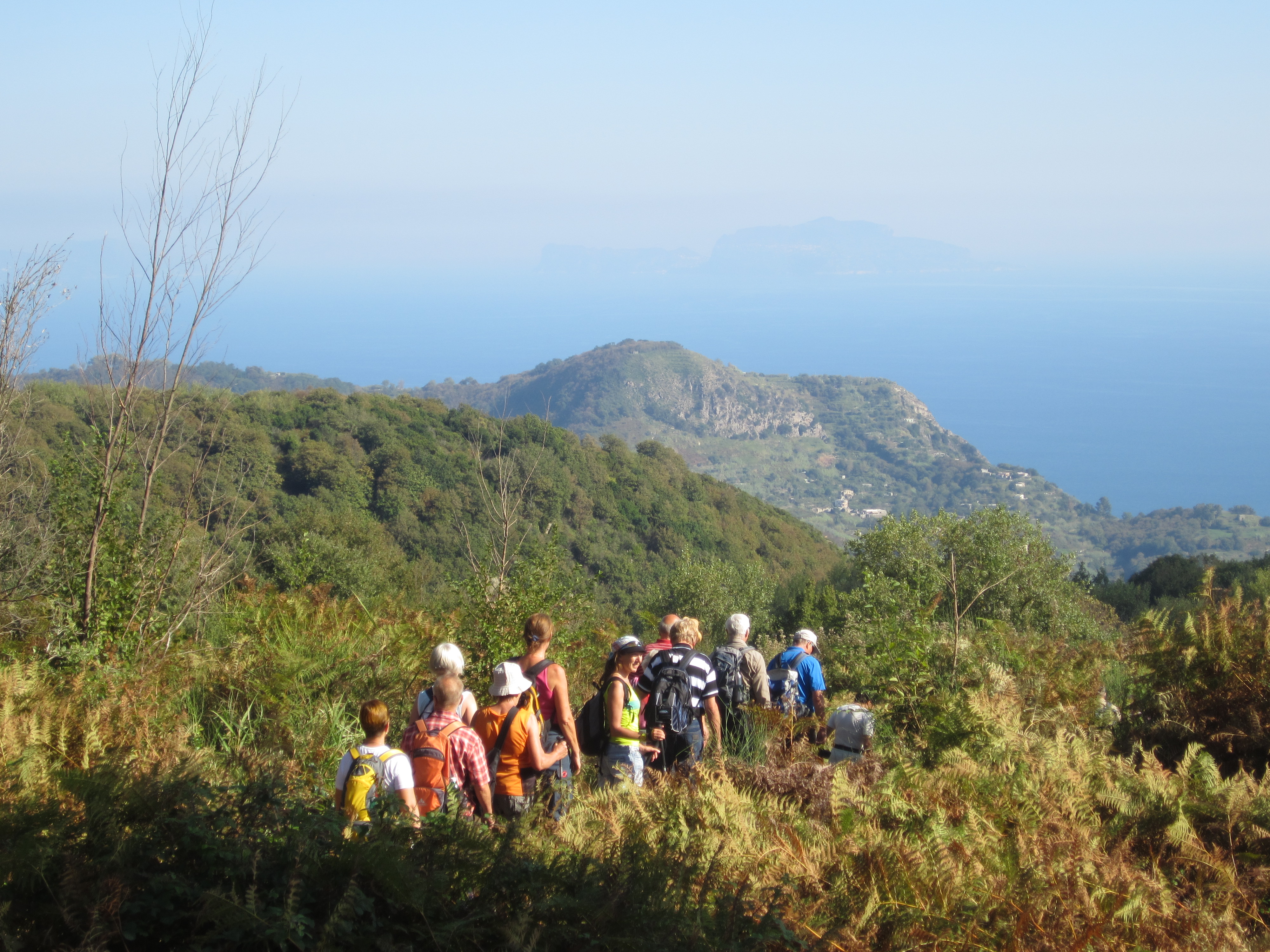 Bild Ischia